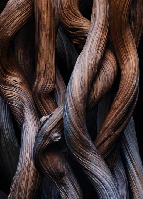 Francis Kurkdjian 揭秘 Dior Sauvage Extrait:用“明暗对比”重塑一款经典香水-有一UIIYII